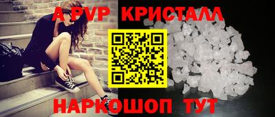 шишки Кингисепп