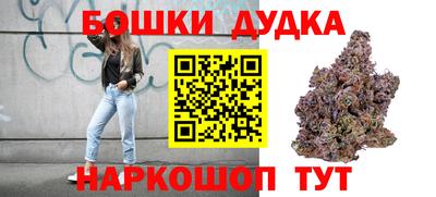 шишки Кингисепп