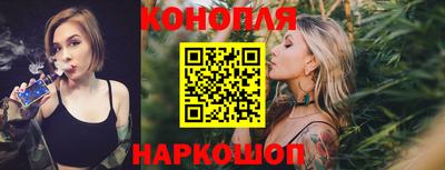 шишки Кингисепп