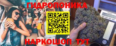 стаф Кимры