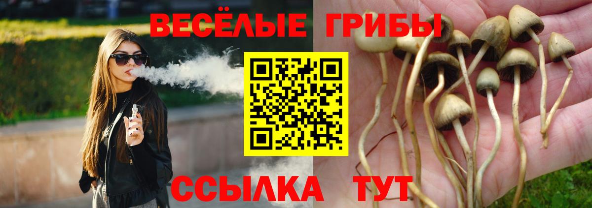 Галлюциногенные грибы мухоморы  Вход с VPN  Мыски  Псилоцибиновые грибы мицелий 
